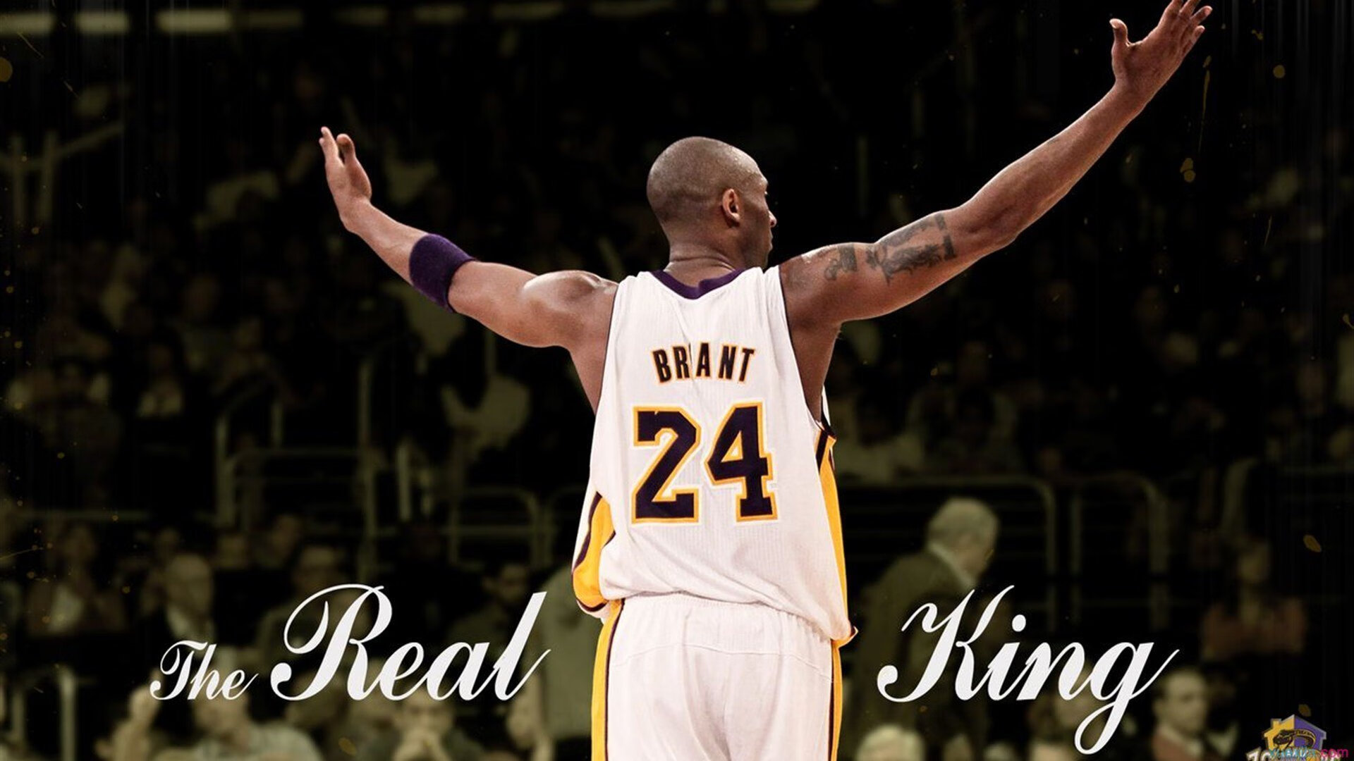 幕后团队成就精彩赛事，幕后制作团队